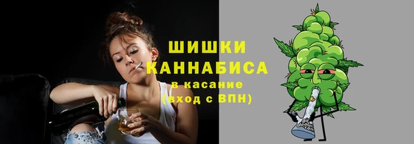 дурь Богородицк