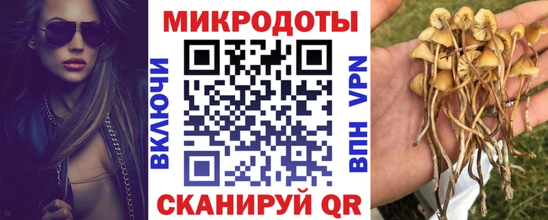 Галлюциногенные грибы прущие грибы  Гаврилов-Ям 